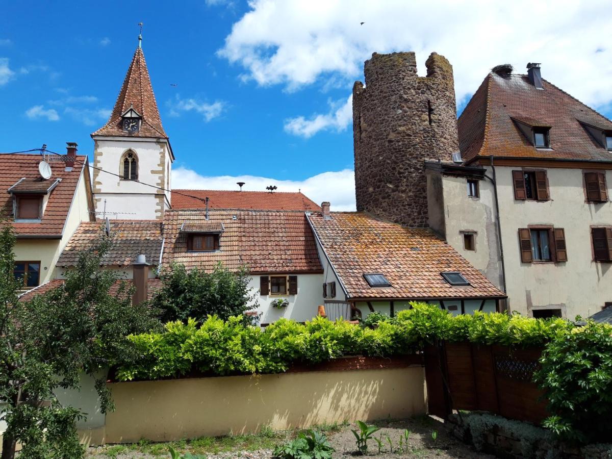 "La Vigne Dort" Cocon Romantique Herrlisheim-pres-Colmar Exterior photo